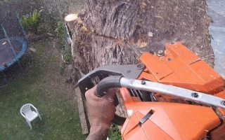 City Arbor Works