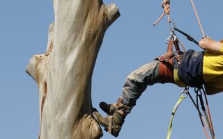 City Arbor Works